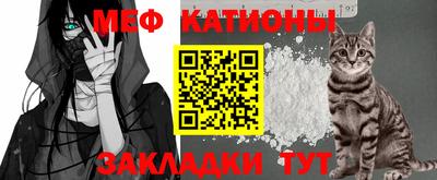 шишки Кандалакша