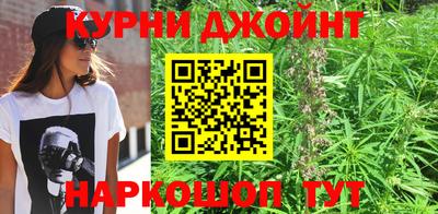шишки Кандалакша