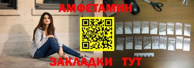 шишки Кандалакша