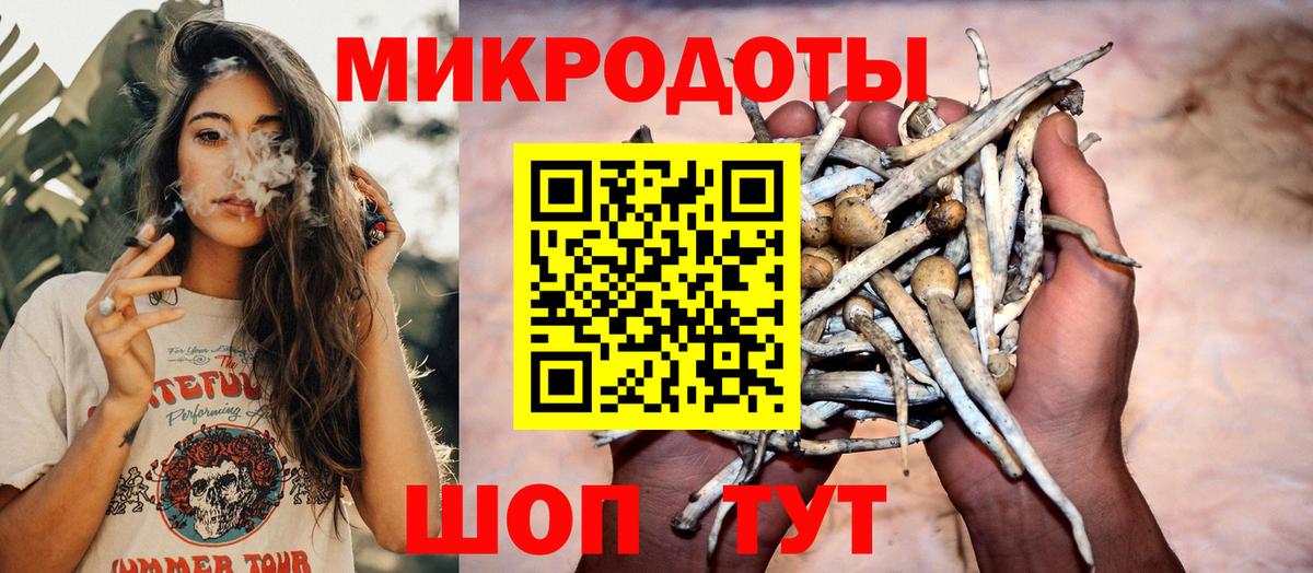 Котлас  Галлюциногенные грибы Psilocybe  Вход с VPN 