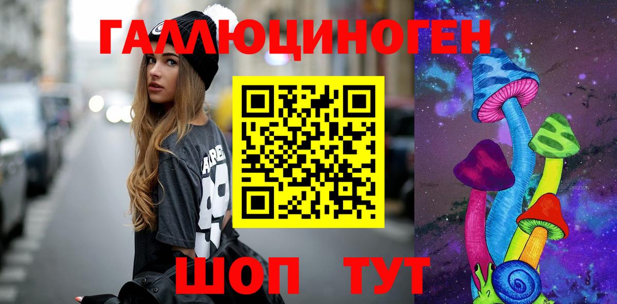 Псилоцибиновые грибы Psilocybe Котлас